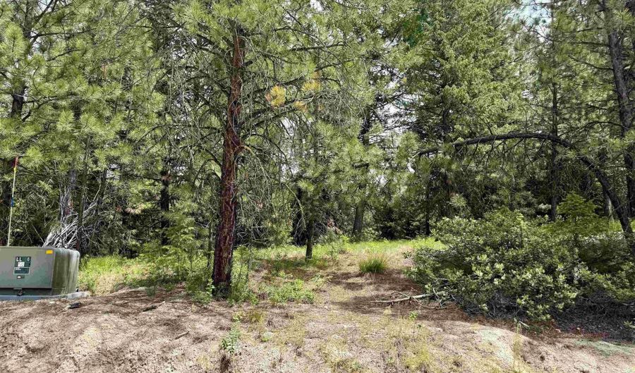 53 Landale Ln, Cascade, ID 83711 - 0 Beds, 0 Bath
