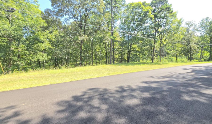 John Wayne Road, Brandon, MS 39042 - 0 Beds, 0 Bath