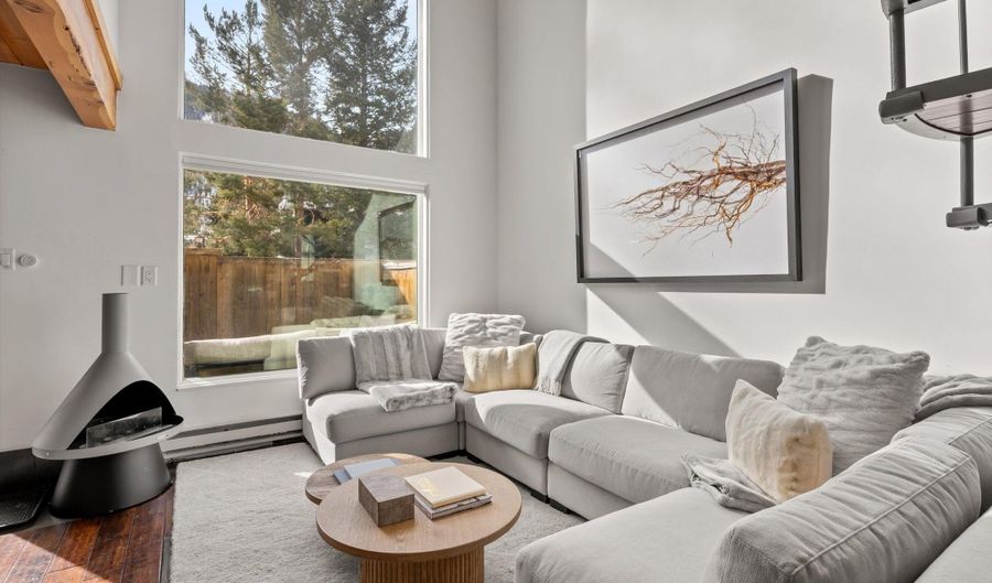 1024 E Cooper Avenue 3a, Aspen, CO 81611 - 3 Beds, 2 Bath
