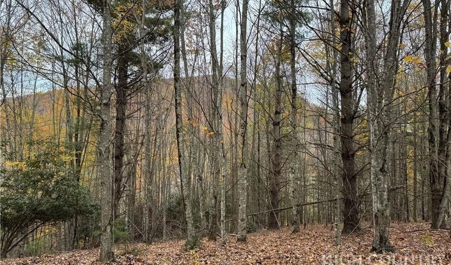 Rominger Road, Banner Elk, NC 28604 - 0 Beds, 0 Bath