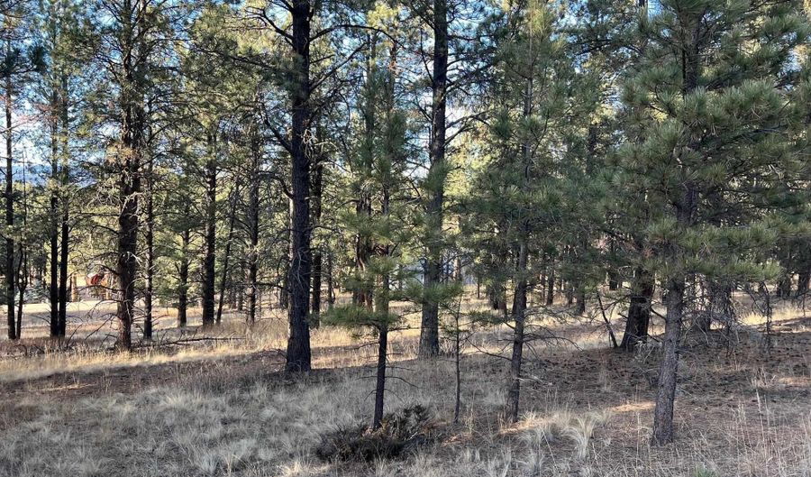Jackson Hole lot 14, Angel Fire, NM 87710 - 0 Beds, 0 Bath