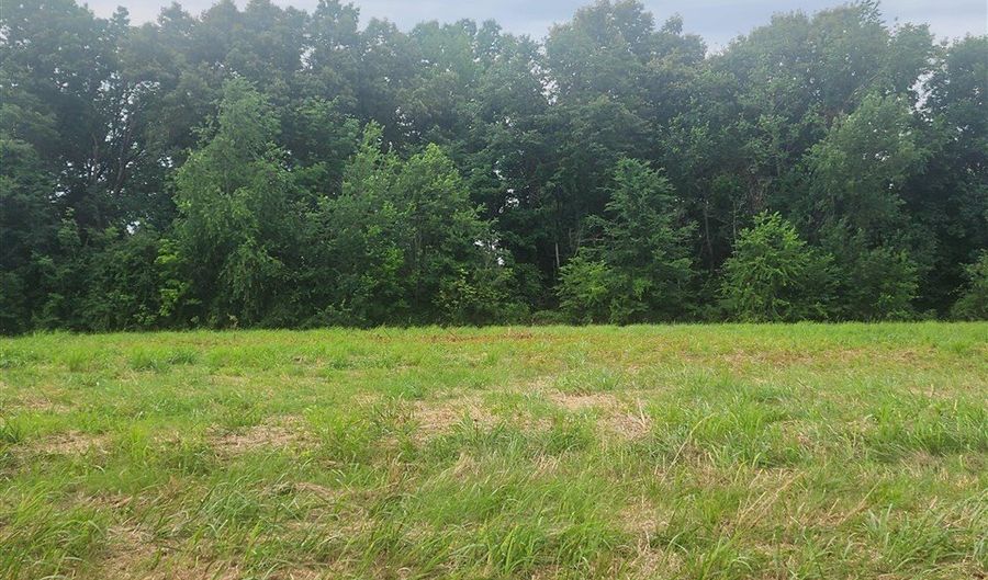 Smiths Grove Church Road, Adairville, KY 42202 - 0 Beds, 0 Bath