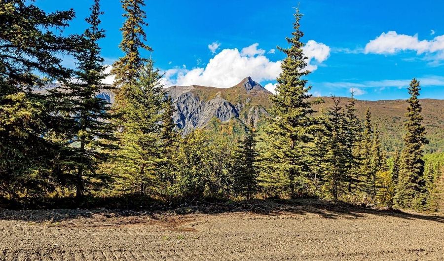 L7 S Red Rooster Road, Chickaloon, AK 99674 - 0 Beds, 0 Bath