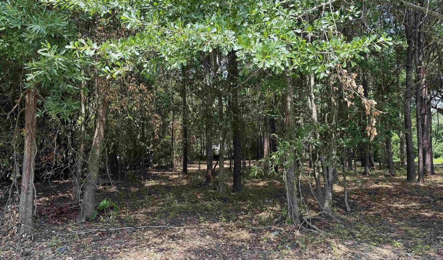 TBD S Rosemary Ave, Andrews, SC 29510 - 0 Beds, 0 Bath