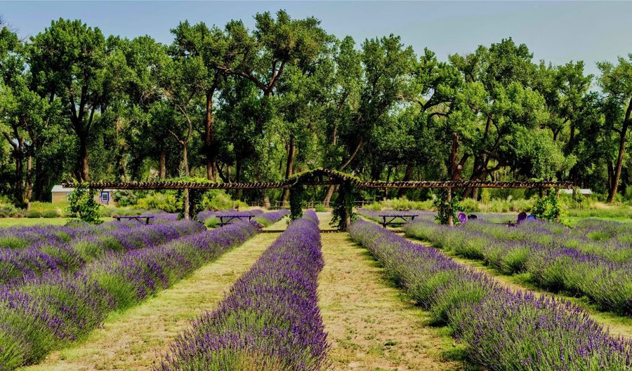PURPLE ADOBE LAVENDER FARM 25 Private Drive 1622, Abiquiu, NM 87510 - 2 Beds, 2 Bath
