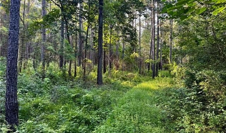 Parcel 3 WARD LINE Road lot Par 3, Bogalusa, LA 70427 - 0 Beds, 0 Bath