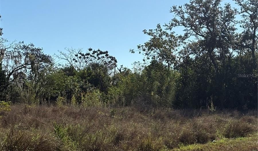 128 5TH Ave, Babson Park, FL 33827 - 0 Beds, 0 Bath