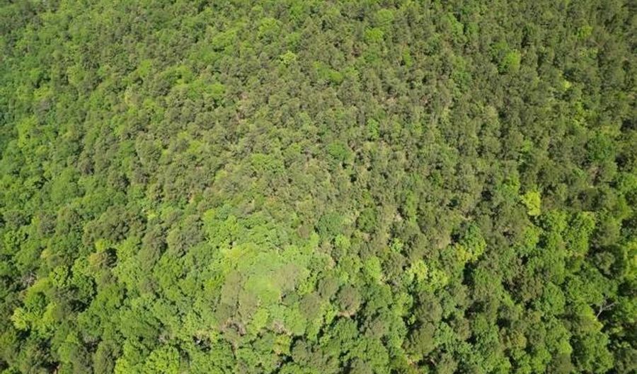 TRACT 39 TRAIL RIDGE ROAD, Albion, OK 74571 - 0 Beds, 0 Bath