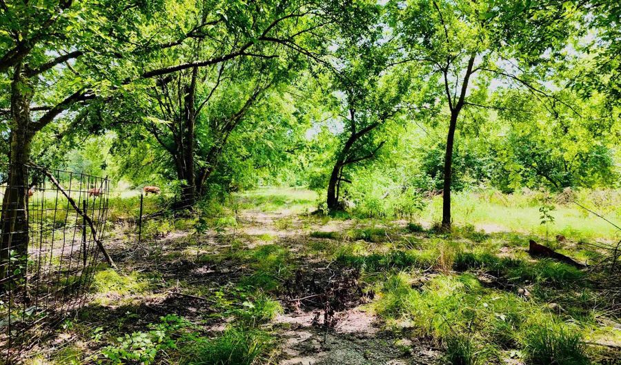 TBD FM 71 SS, Sulphur Springs, TX 75482 - 0 Beds, 0 Bath