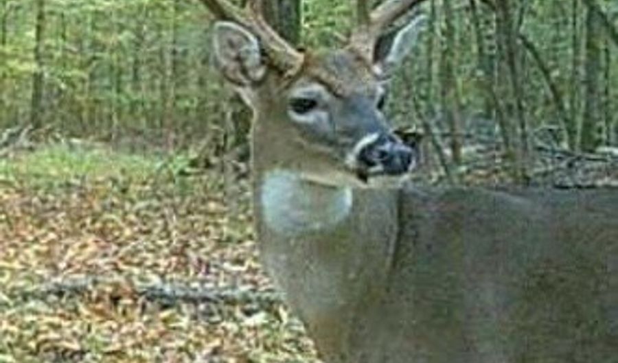 1 8 Miles Due South Down Anding Oil City Rd, Bentonia, MS 39040 - 0 Beds, 0 Bath