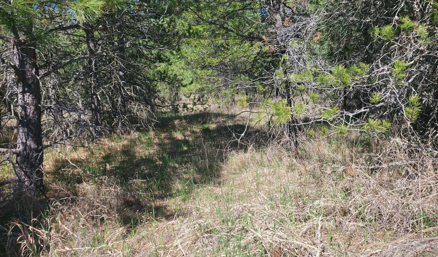 Nka Sheep Springs 10 acres, Athol, ID 83801 - 0 Beds, 0 Bath