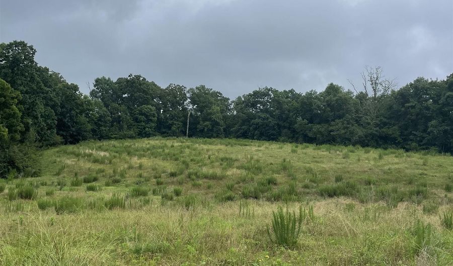 2403 Hog Jaw Rd, Arab, AL 35016 - 0 Beds, 0 Bath