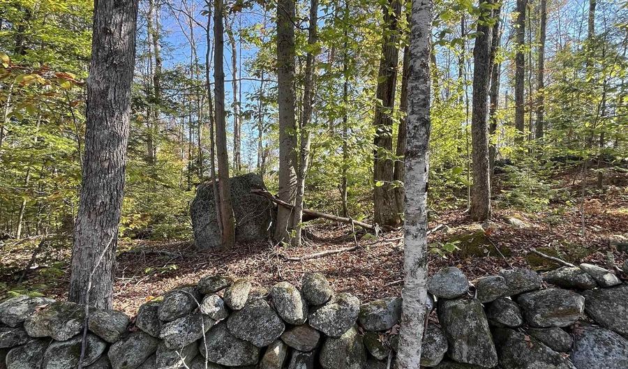 Map 227 Lot 010 Underwood Road, Acworth, NH 03601 - 0 Beds, 0 Bath