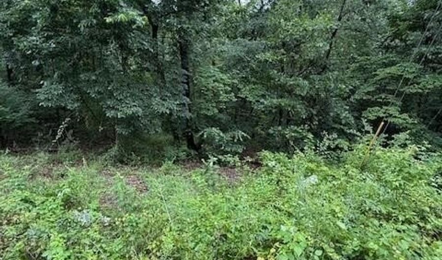 Lot 6 Bosworth CIR, Bella Vista, AR 72714 - 0 Beds, 0 Bath