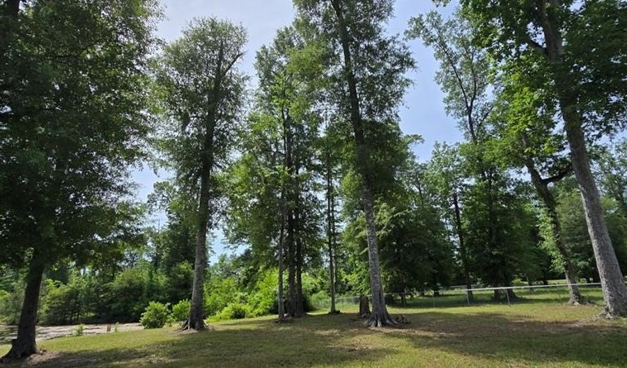 3524 Moss Island Ct, Albany, GA 31721 - 4 Beds, 2 Bath