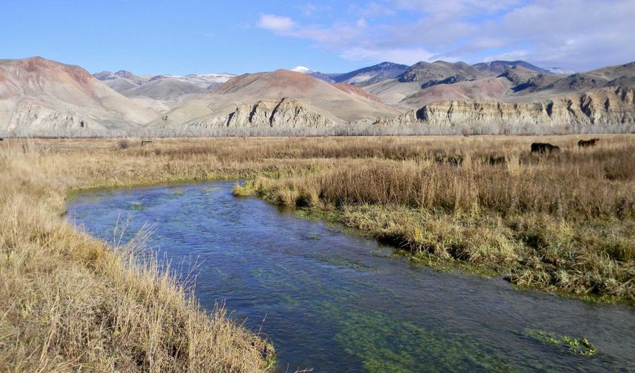 24950 Hwy. 93, Challis, ID 83226 - 3 Beds, 3 Bath