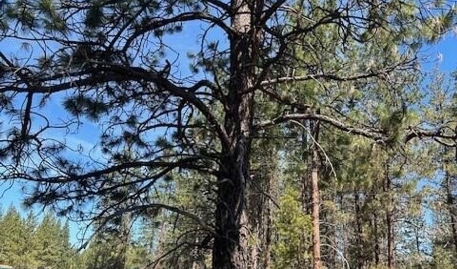 Ruddy Duck Drive Lot 5, Bonanza, OR 97623 - 0 Beds, 0 Bath