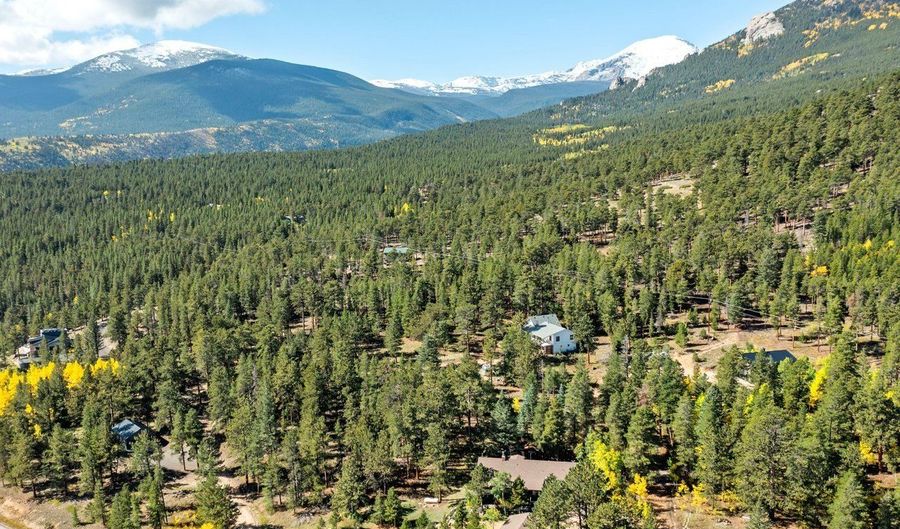 11982 Peak To Peak Dr, Allenspark, CO 80510 - 3 Beds, 3 Bath