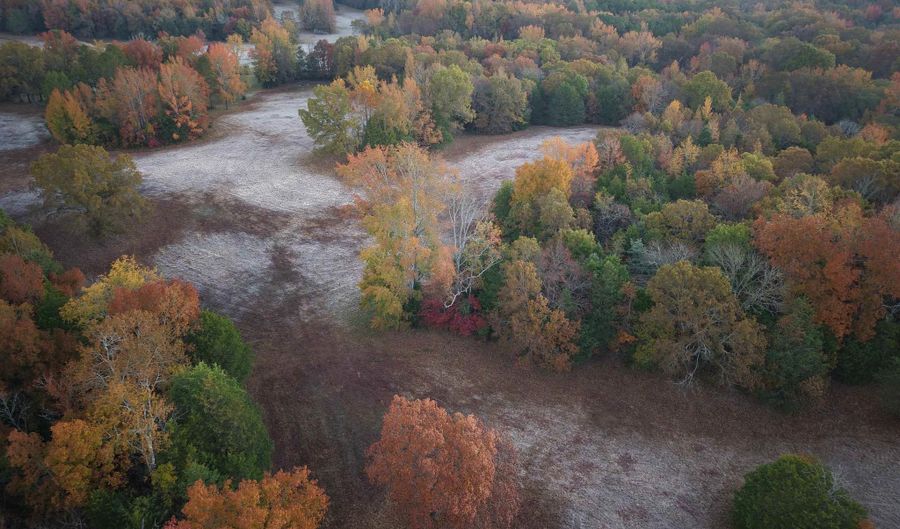 Black Hill Road, Bee Branch, AR 72013 - 0 Beds, 0 Bath