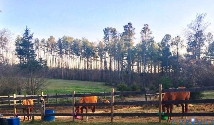 5 Acres Benchmark Trl, Amelia, VA 23002 - 0 Beds, 0 Bath