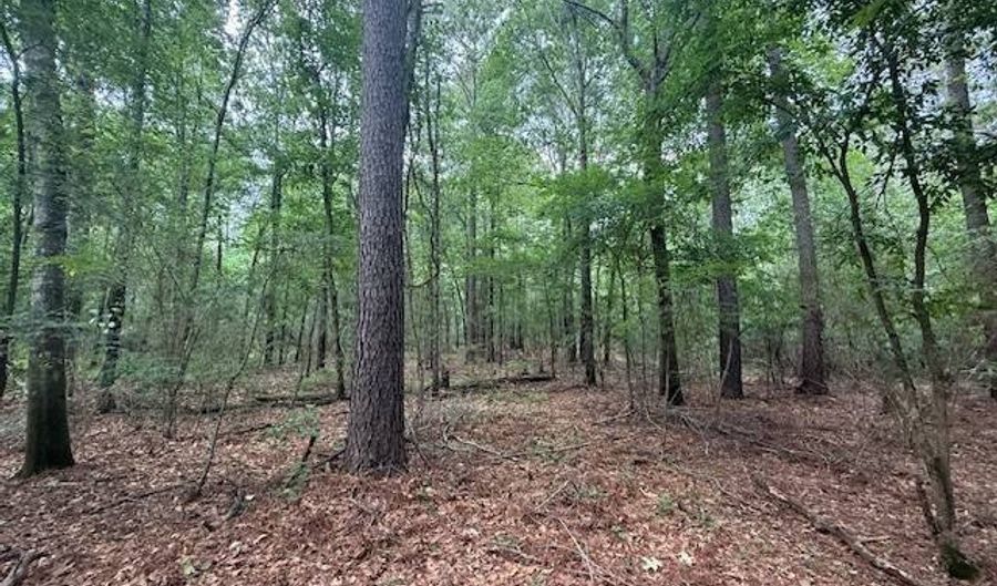 Carbon Plant Road, Bastrop, LA 71220 - 0 Beds, 0 Bath