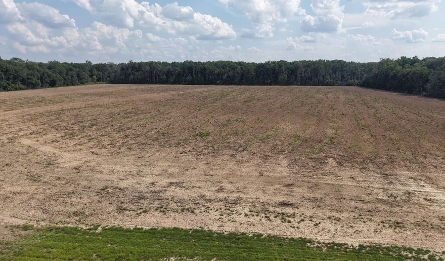 Dawling Bayou Road, Anguilla, MS 38721 - 0 Beds, 0 Bath