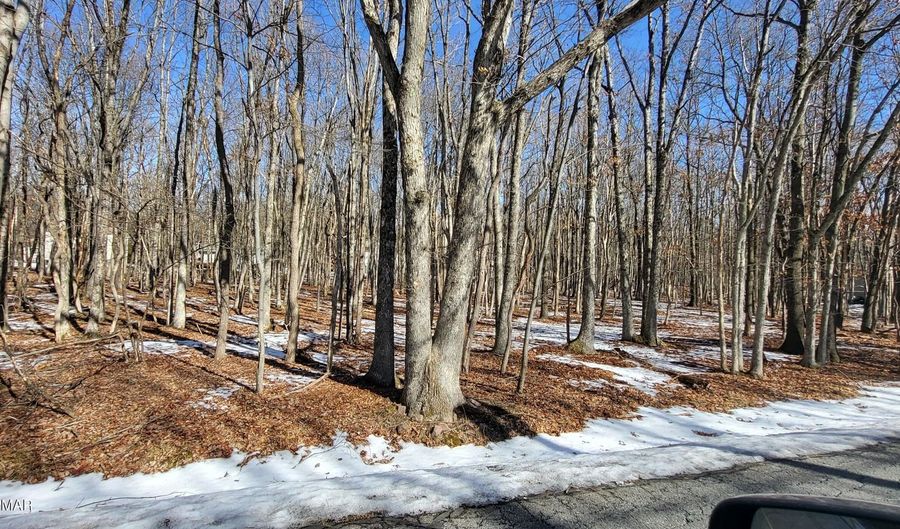 Mohawk Trail, Albrightsville, PA 18210 - 0 Beds, 0 Bath