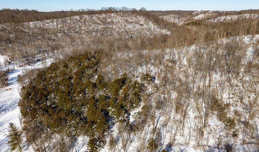 Lockmier 12+/- Acres Rd, Augusta, KY 41002 - 0 Beds, 0 Bath