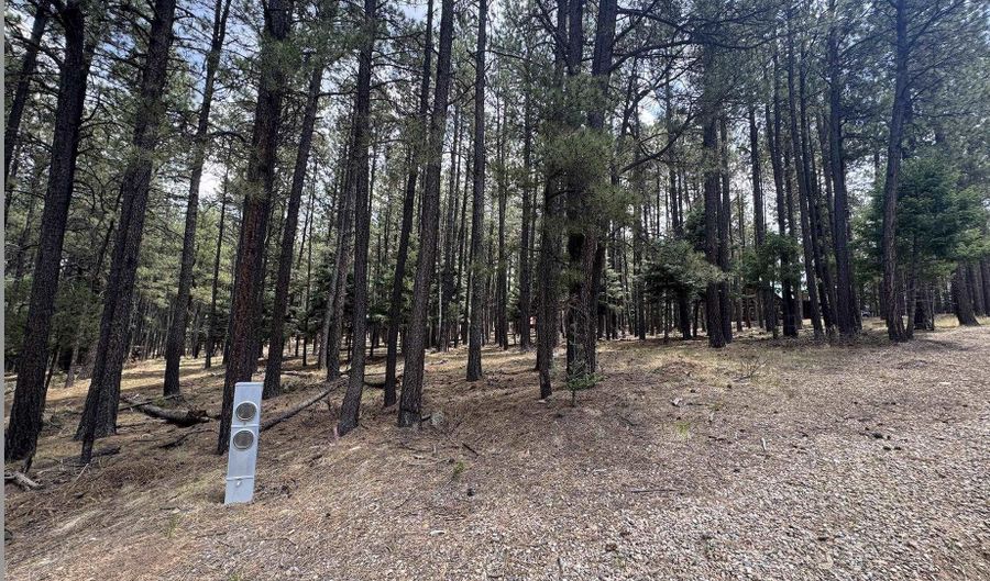Calle de las Palomas lot 880, Angel Fire, NM 87710 - 0 Beds, 0 Bath