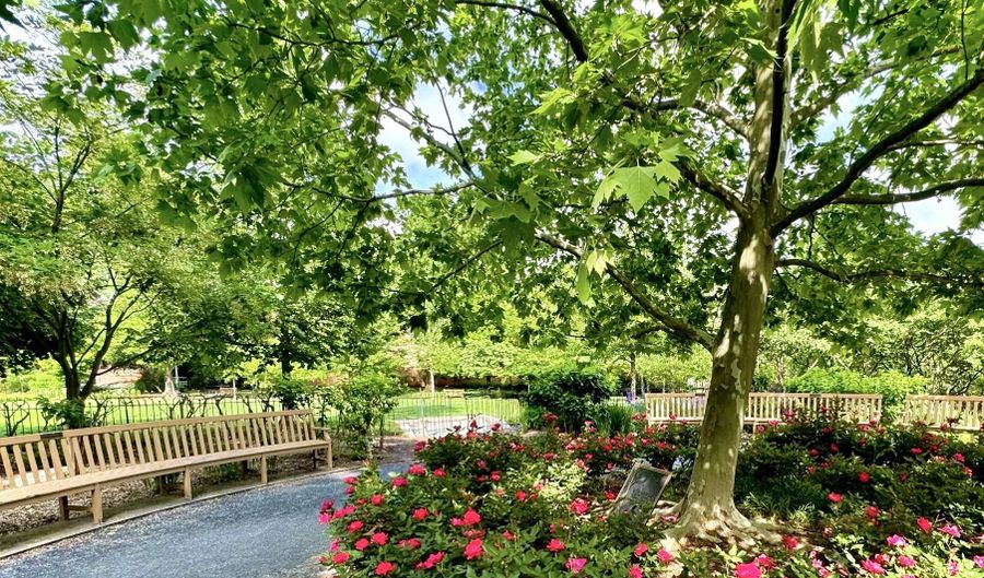 2153 CALIFORNIA St NW 1, Washington, DC 20008 - 2 Beds, 2 Bath