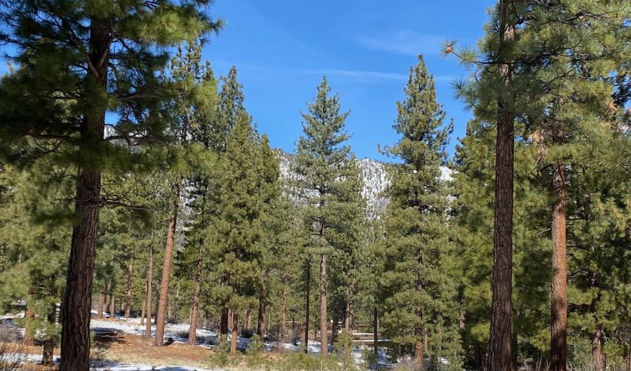 238 Redding Way Lot 238, Carson City, NV 89705 - 0 Beds, 0 Bath