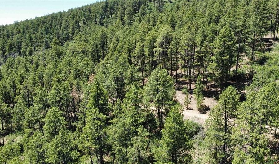 140 Jackalope Dr, Bayfield, CO 81122 - 0 Beds, 0 Bath