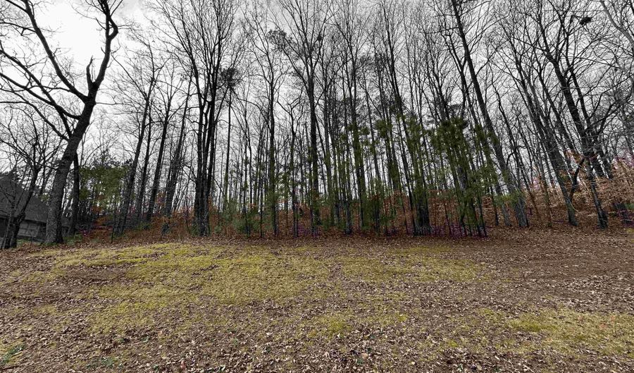 Lot 47 Seven Bark Drive, Cullman, AL 35055 - 0 Beds, 0 Bath