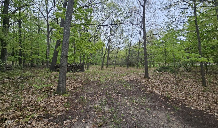8941 S E Torch Lake Dr, Alden, MI 49612 - 0 Beds, 0 Bath