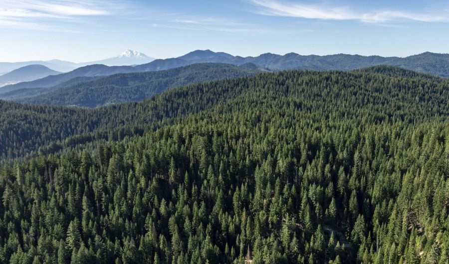 Hungry Ridge, Ashland, OR 97520 - 2 Beds, 1 Bath