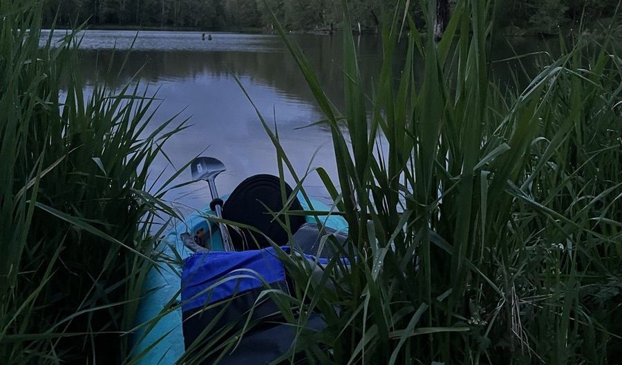 15116 NE GRANTHAM Rd, Amboy, WA 98601 - 4 Beds, 3 Bath