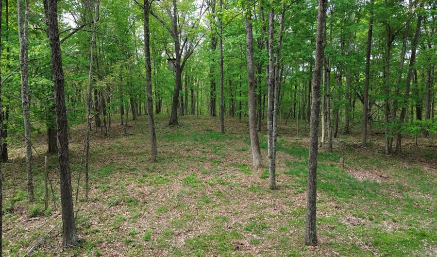 694 A Tunnel Ridge Rd, Argillite, KY 41121 - 0 Beds, 0 Bath