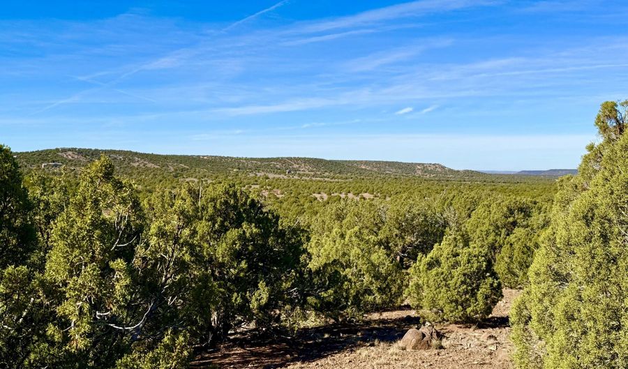 Kirkland DR 20 Acres, Concho, AZ 85924 - 0 Beds, 0 Bath