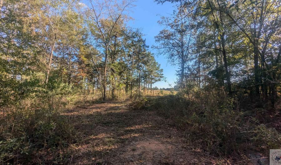 CR 4234, De Kalb, TX 75559 - 0 Beds, 0 Bath