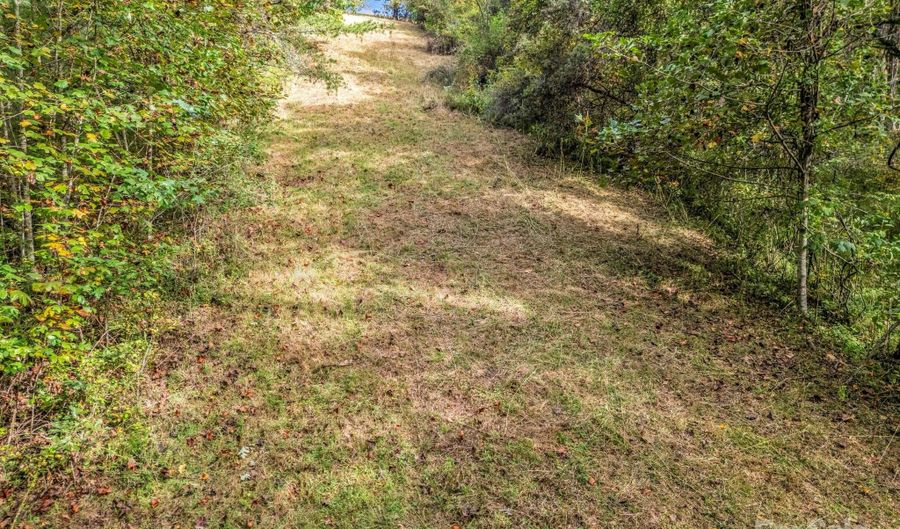 19 Woodchuck Cove Way, Alexander, NC 28701 - 0 Beds, 0 Bath