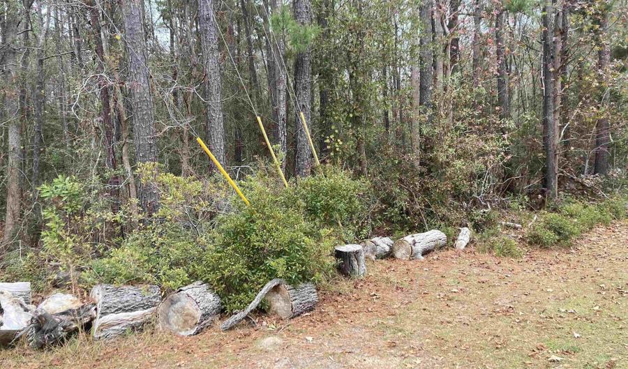 TBD Persimmon Ford Rd, Johnsonville, SC 29555 - 0 Beds, 0 Bath
