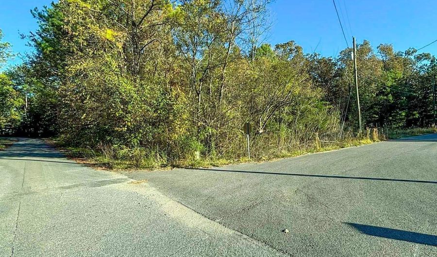 11 SE Wilson St, Attalla, AL 35954 - 0 Beds, 0 Bath