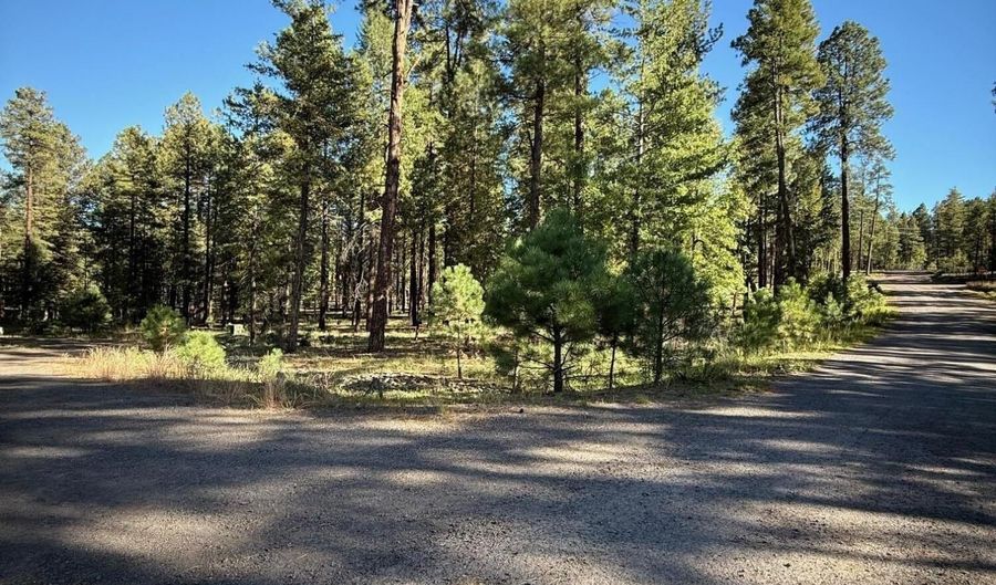 7 2190, Alpine, AZ 85920 - 0 Beds, 0 Bath