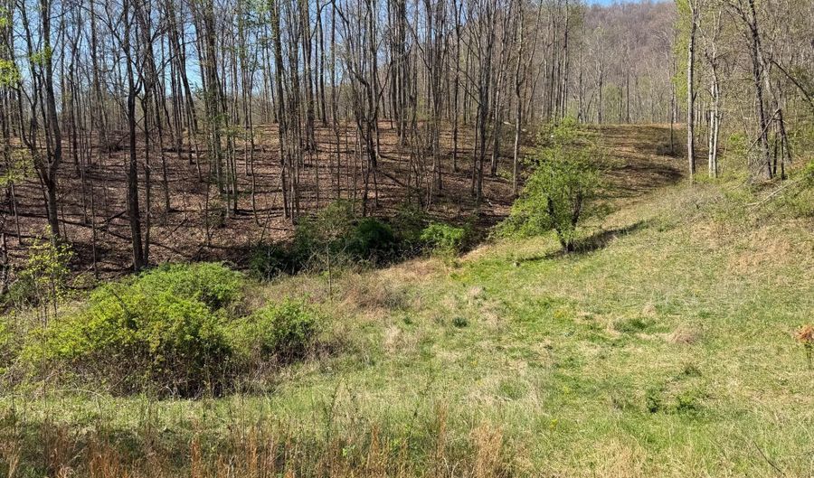 Hamilton Ridge, Alderson, WV 24910 - 0 Beds, 1 Bath