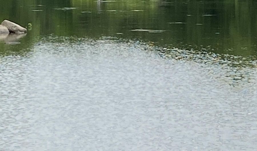 Spruce Drive, Anson, ME 04911 - 0 Beds, 0 Bath