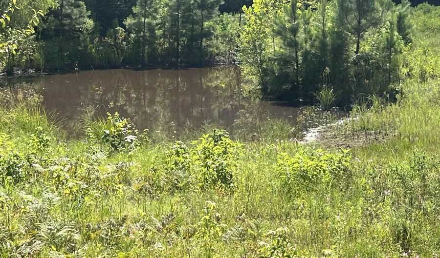 776 John Ashley, Amity, AR 71921 - 0 Beds, 0 Bath