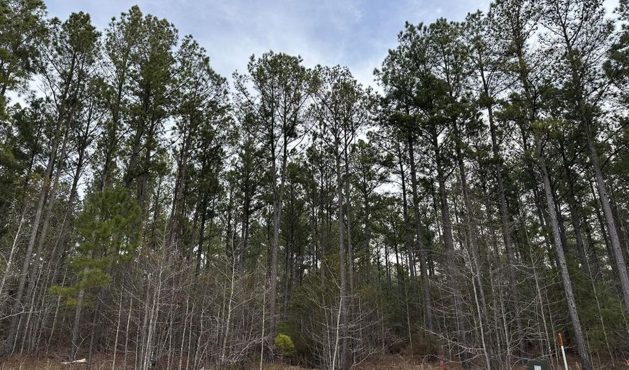 Lot C112 DOCK SIDE Lane, Lincolnton, GA 30817 - 0 Beds, 0 Bath