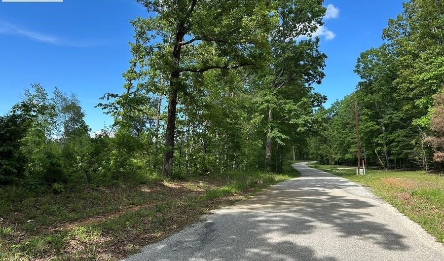 MT ZION RD, Big Sandy, TN 38221 - 0 Beds, 0 Bath