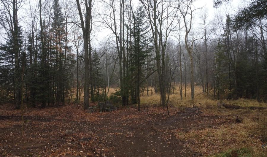 N10595 HWY 45, Aniwa, WI 54414 - 0 Beds, 0 Bath