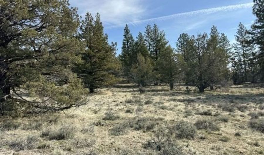 Yellow Jacket Springs RD, Beatty, OR 97621 - 0 Beds, 0 Bath